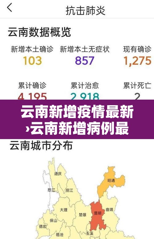 云南新增疫情最新›云南新增病例最新通报详细名单