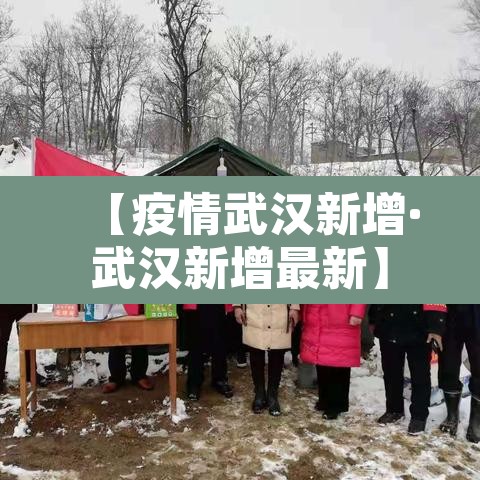 【疫情武汉新增·武汉新增最新】