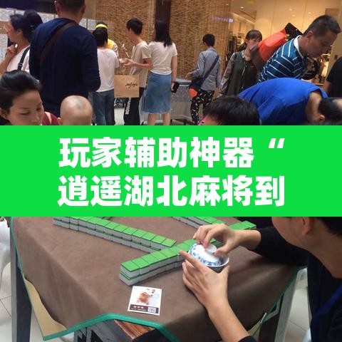 玩家辅助神器“逍遥湖北麻将到底有没有挂”其实确实有挂