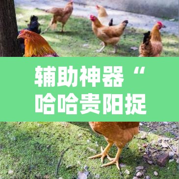 辅助神器“哈哈贵阳捉鸡麻将开挂怎么开”(透视)其实确实有挂