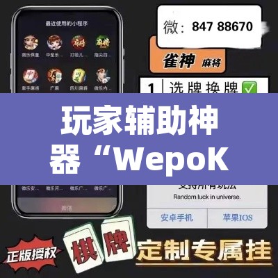 玩家辅助神器“WepoKer确定可以透视的”附辅助神器开挂脚本详细步骤