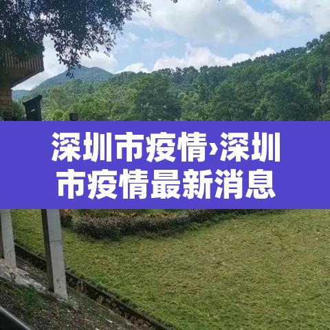 深圳市疫情›深圳市疫情最新消息