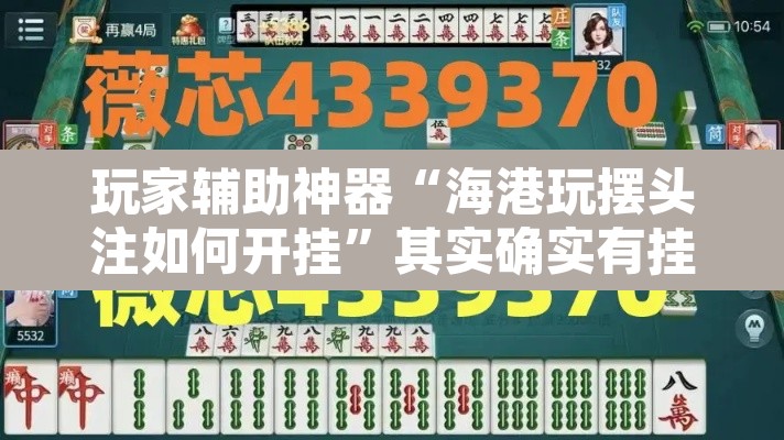 玩家辅助神器“海港玩摆头注如何开挂”其实确实有挂