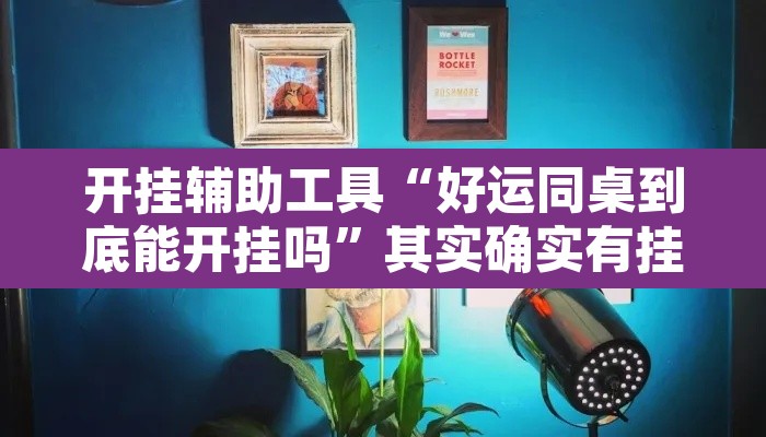 开挂辅助工具“好运同桌到底能开挂吗	”其实确实有挂