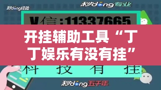 开挂辅助工具“丁丁娱乐有没有挂	”(透视挂)辅助透视教程