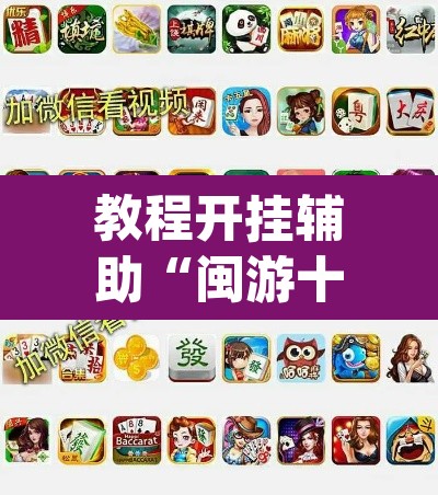 教程开挂辅助“闽游十三水开挂辅助器是什么弄的”(透视挂)辅助透视教程