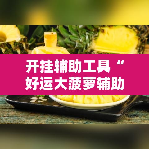 开挂辅助工具“好运大菠萝辅助软件”(透视挂)辅助透视教程