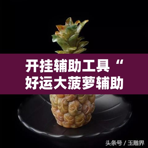 开挂辅助工具“好运大菠萝辅助软件	”(透视挂)辅助透视教程