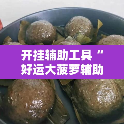 开挂辅助工具“好运大菠萝辅助软件”(透视挂)辅助透视教程