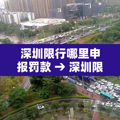 深圳限行哪里申报罚款 → 深圳限行违章怎么罚款