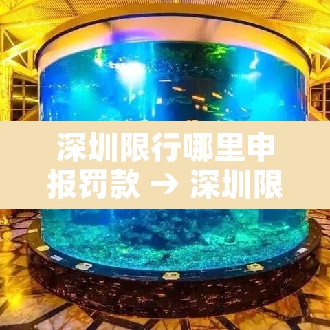 深圳限行哪里申报罚款 → 深圳限行违章怎么罚款