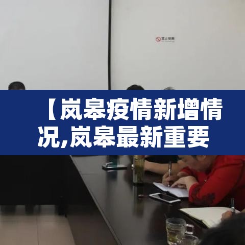 【岚皋疫情新增情况,岚皋最新重要事件】