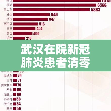 武汉在院新冠肺炎患者清零—（武汉在院新冠肺炎患者清零图片）