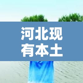 河北现有本土确诊病例127例：河北现有确诊127例,疫情源头尚未完全查明