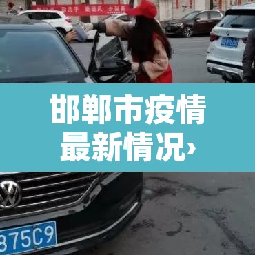 邯郸市疫情最新情况›邯郸市 疫情
