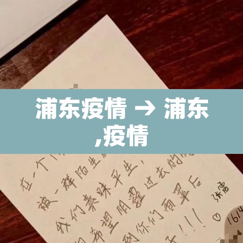 浦东疫情 → 浦东,疫情