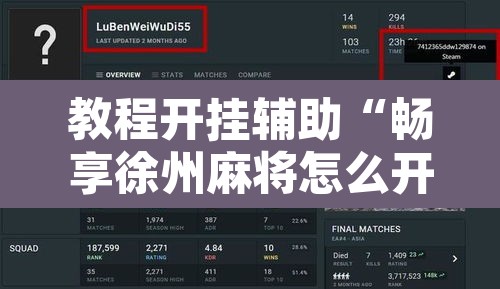 教程开挂辅助“畅享徐州麻将怎么开挂教程”开挂辅助脚本+详细开挂安装教程