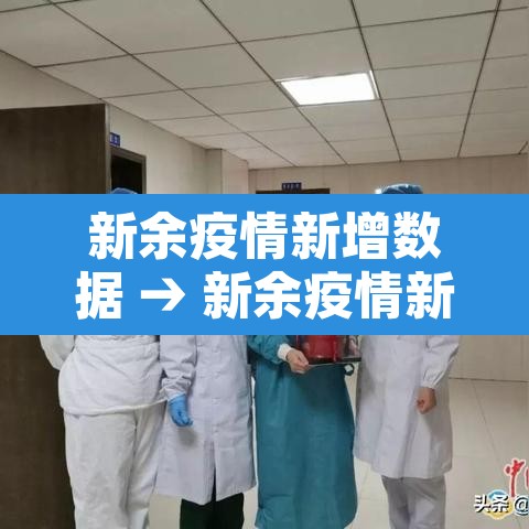 新余疫情新增数据 → 新余疫情新增数据统计