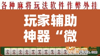 玩家辅助神器“微乐江苏麻将有挂能查出来吗”其实确实有挂