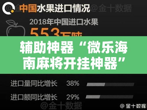 辅助神器“微乐海南麻将开挂神器”开挂辅助脚本+详细开挂安装教程
