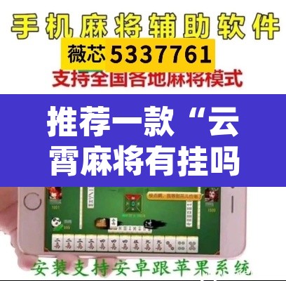 推荐一款“云霄麻将有挂吗可以开挂吗”(透视)其实确实有挂
