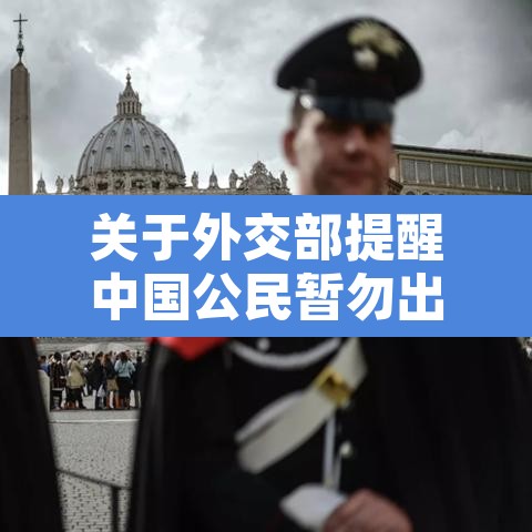 关于外交部提醒中国公民暂勿出国旅行的信息
