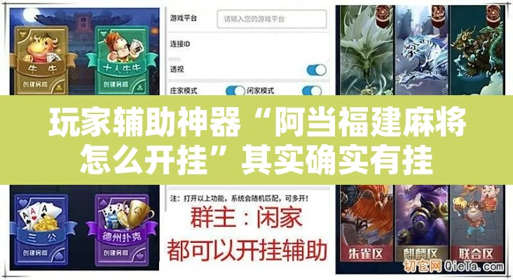 玩家辅助神器“阿当福建麻将怎么开挂”其实确实有挂