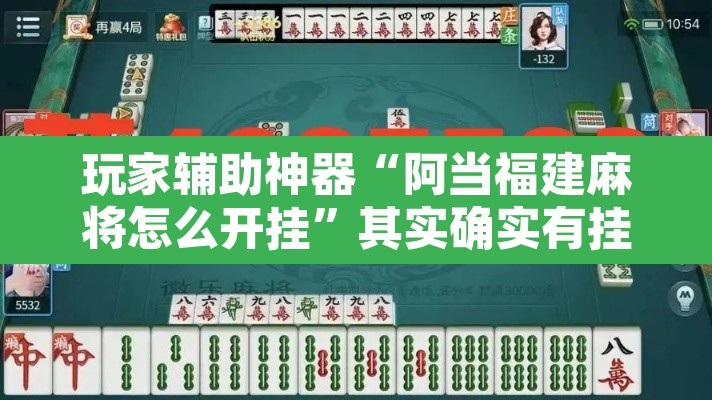 玩家辅助神器“阿当福建麻将怎么开挂	”其实确实有挂