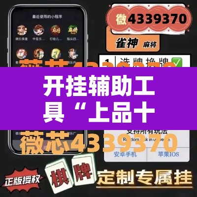 开挂辅助工具“上品十三水怎么开挂”开挂辅助脚本+详细开挂安装教程