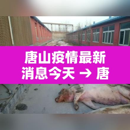 唐山疫情最新消息今天 → 唐山疫情最新消息今天新增