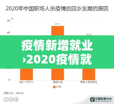 疫情新增就业›2020疫情就业保障政策