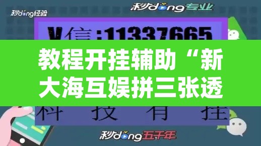 教程开挂辅助“新大海互娱拼三张透”(透视挂)辅助透视教程
