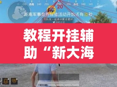 教程开挂辅助“新大海互娱拼三张透	”(透视挂)辅助透视教程