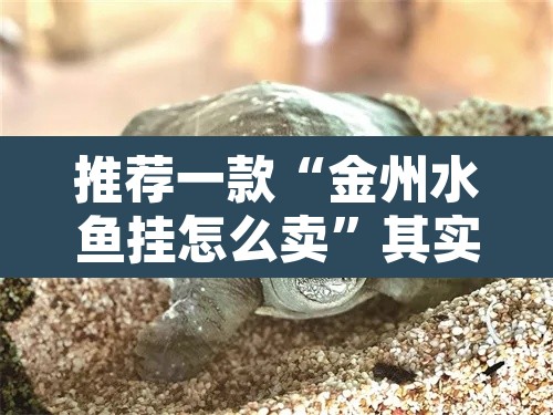 推荐一款“金州水鱼挂怎么卖”其实确实有挂