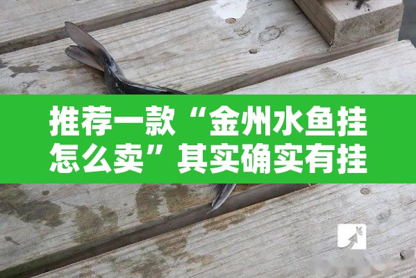 推荐一款“金州水鱼挂怎么卖”其实确实有挂