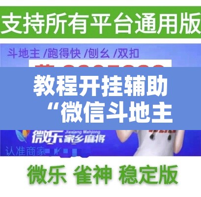 教程开挂辅助“微信斗地主万能透视软件”其实确实有挂