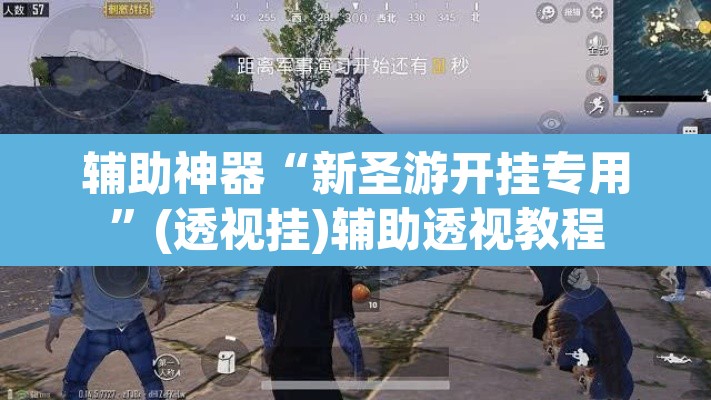 辅助神器“新圣游开挂专用”(透视挂)辅助透视教程
