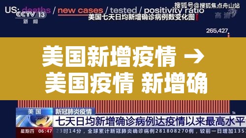 美国新增疫情 → 美国疫情 新增确诊