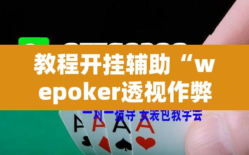 教程开挂辅助“wepoker透视作弊	”(透视挂)辅助透视教程