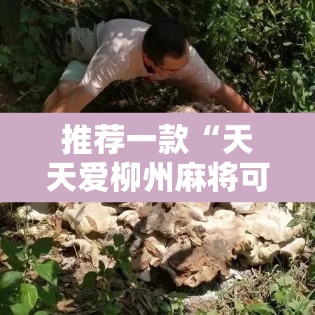 推荐一款“天天爱柳州麻将可以开挂吗”其实确实有挂