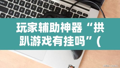 玩家辅助神器“拱趴游戏有挂吗”(透视挂)辅助透视教程