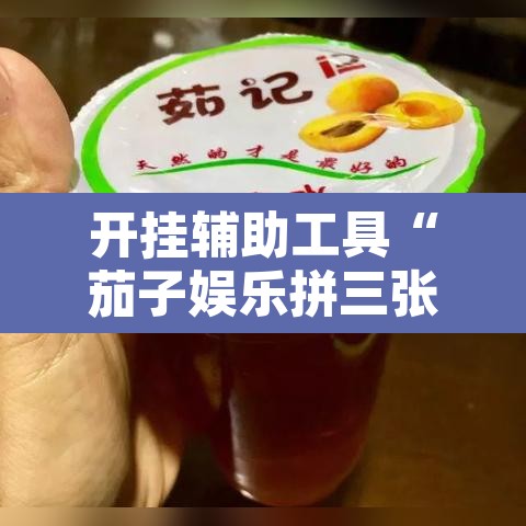 开挂辅助工具“茄子娱乐拼三张辅助”开挂辅助脚本+详细开挂安装教程