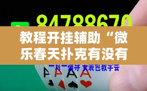 教程开挂辅助“微乐春天扑克有没有挂”(透视挂)辅助透视教程
