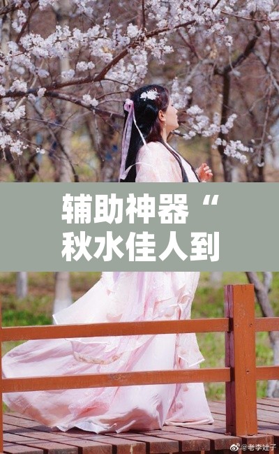 辅助神器“秋水佳人到底可以开挂吗”其实确实有挂