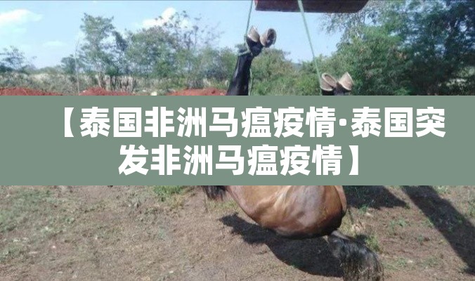 【泰国非洲马瘟疫情·泰国突发非洲马瘟疫情】