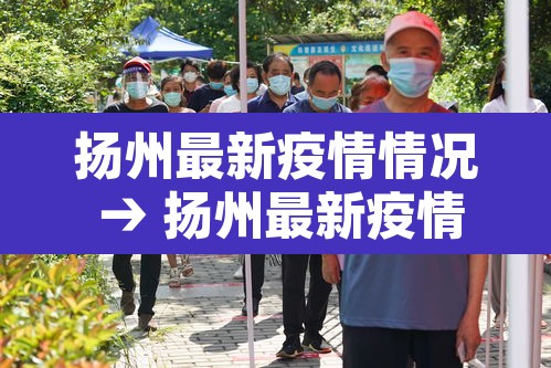 扬州最新疫情情况 → 扬州最新疫情病例