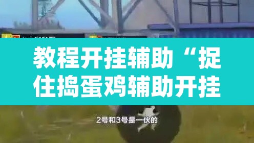 教程开挂辅助“捉住捣蛋鸡辅助开挂”(透视挂)辅助透视教程