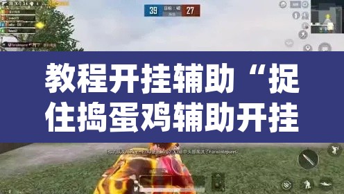 教程开挂辅助“捉住捣蛋鸡辅助开挂	”(透视挂)辅助透视教程
