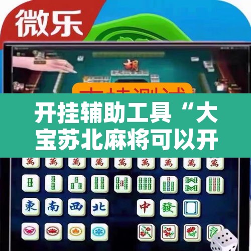 开挂辅助工具“大宝苏北麻将可以开挂”其实确实有挂