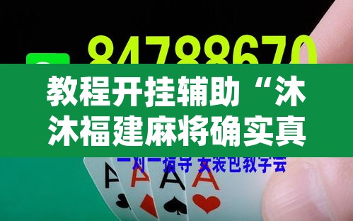 教程开挂辅助“沐沐福建麻将确实真的有挂	”(透视挂)辅助透视教程